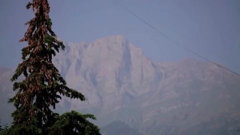 Tree in a background of a rocky mountain Video stock 197515747
