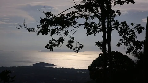 Tree on a background of sea on sunset with reflations. View from the top of the Stock Footage 115918425