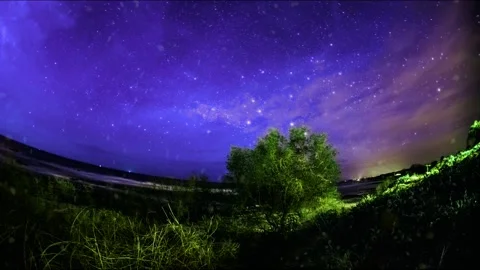 A tree on the background of the starry sky   4K Slow motion Stock Footage 253703541
