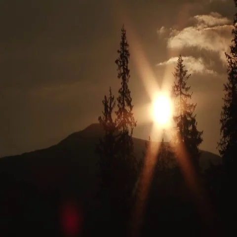 Tree on a background of the sun is hiding behind clouds Stock Footage 69519885