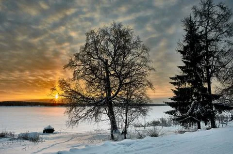 Tree on the background of sunset on the river Bank in winter Stock Photos