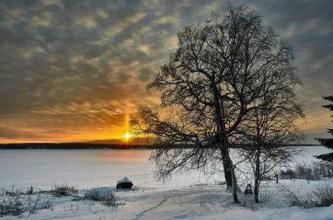 Tree on the background of sunset on the river Bank in winter Stock Photos