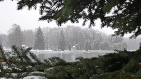 Tree in the background of the urban river 4K Stock Footage 83829969