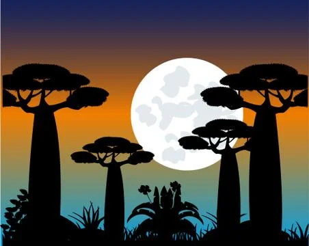 Tree baobab at moon in the night Stock Illustration