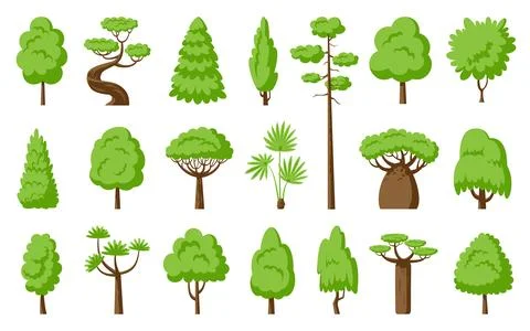 Tree baobab palm dracaena maple pine fir willow Stock Illustration