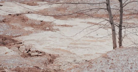 Tree with bare branches dies in contaminated area. Acid lake. Pollution concept Stock Footage 163767570