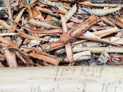 Tree bark. Bark from trees. Shells to be burned. Stock Photos