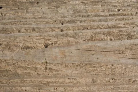 Tree bark closeup texture. Natural tree bark background template. Stock Photos