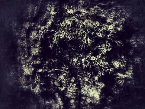 Tree bark covered with moss Foto stock