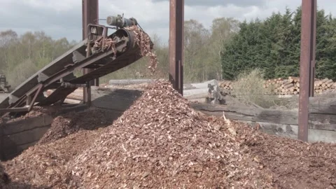 Tree Bark falling of conveyor Stock Footage 201463890