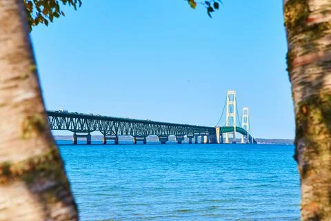 Tree bark framing Mackinac Bridge with Lake Michigan and Lake Huron Stock-Fotos