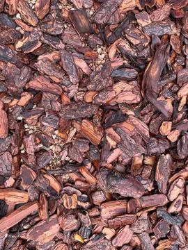 Tree bark ground cover texture Stock Photos