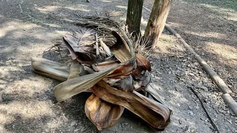 Tree bark on the ground Stock Photos