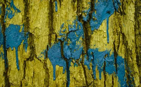 Tree Bark Painted With Number four and an Arrow. Hiking marking on a tree in  Stock Photos