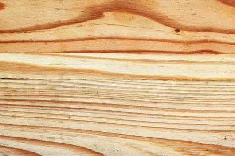 Tree bark Stock Photos