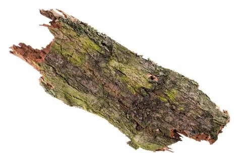Tree bark Stock Photos