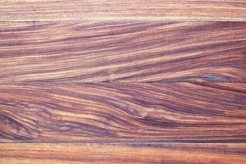 Tree bark Stock Photos