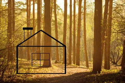 Tree bark with termite tracks Stock Photos