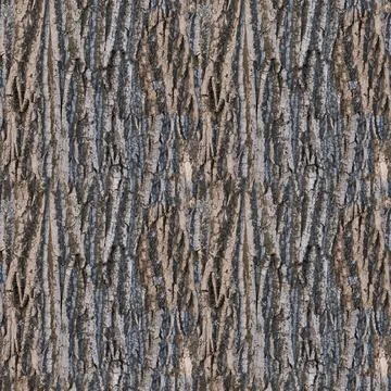Tree bark texture. 4k seamless texture for 3d texturing Stock-Fotos