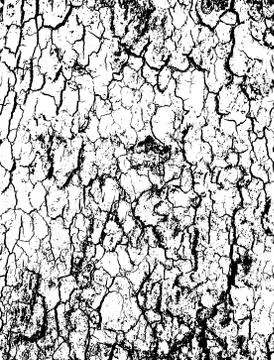 Tree bark texture background vector Illustrazione stock