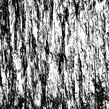 Tree bark texture background vector Stock Illustration