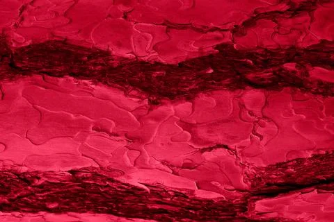 Tree bark texture in the color of the year 2023 viva magenta Stock Photos
