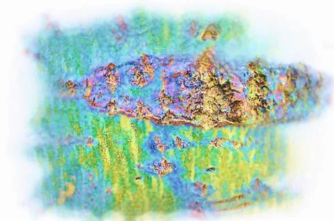 Tree bark texture Stock Illustration