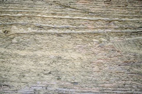 Tree bark texture. Oak wood background. Old Trunk pattern. Rough wooden skin  Stock Photos