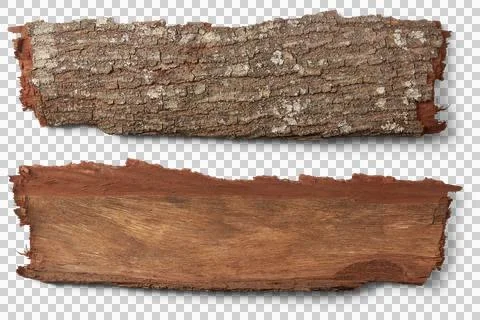 Tree bark texture, outermost layer isolated Stock Photos