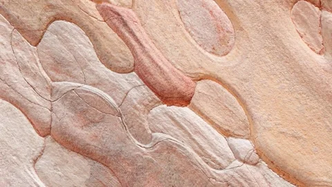 Tree bark updated, red or orange, rotating Video stock 255036944