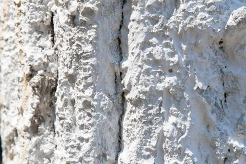 Tree bark in whitewash Stock Photos
