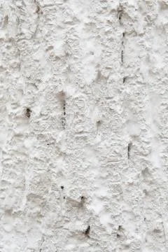 Tree bark in whitewash Stock Photos