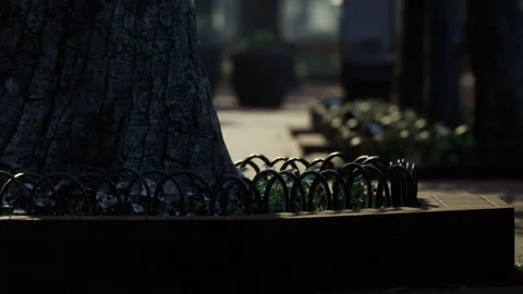Tree base with decorative fencing in a park setting during daytime Stock Footage 343561695