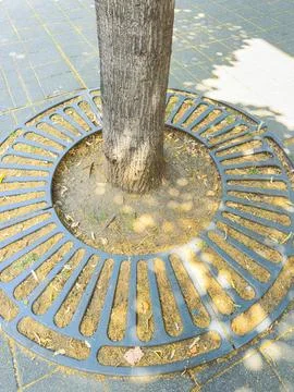 Tree base surrounded by a metal grate in an urban area during daylight Stock Photos