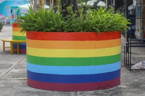 The tree basin is decorated with seven colors of the rainbow Stock Photos