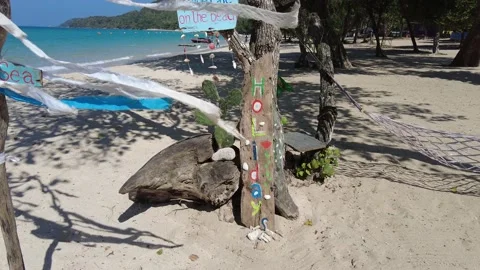 Tree on the beach, Flags and hammock Stock Footage 148282721