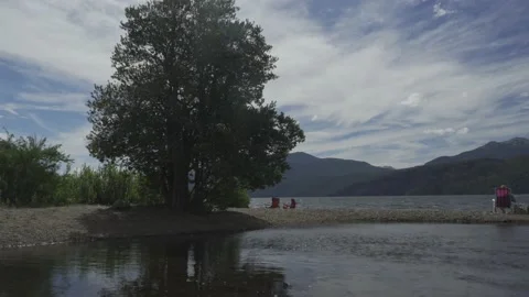 Tree on the beach in Patagonia - By the lake. Stock Footage 145804332