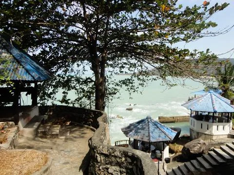 Tree on the beach Stock Photos