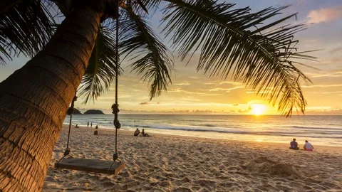 Tree on the beach with sunset background 4K or UHD Resolution. Stock Footage 82965560