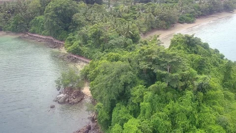 Tree (beach in Trenggalek, East Java, Indonesia) Stock Footage 235409003