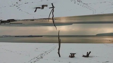 Tree on the beach two worlds Stock Footage 89299371