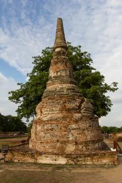 Tree behind pagoda 스톡 사진