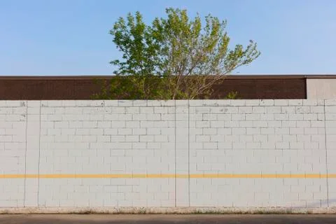 Tree behind playground wall and building, Swift Current, Saskatchewan, Canada. Fotos de archivo