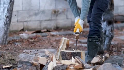 Tree being cut down by a man Stock Footage 241739227