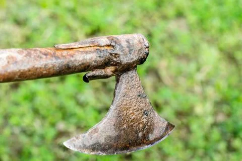 A tree is being cutting down by a traditional axe Stock Photos