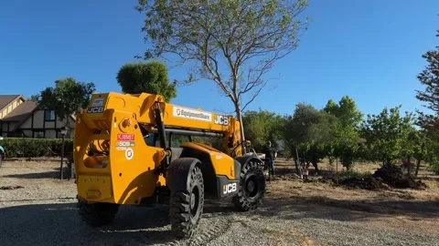 Tree being plante in front yard on a summer day Stock Footage 312768404