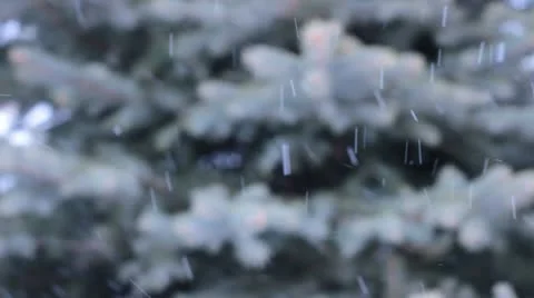 Tree being snowed on. Stock Footage 21192562