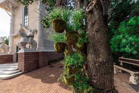 A tree with a bench in front of it Stock Photos