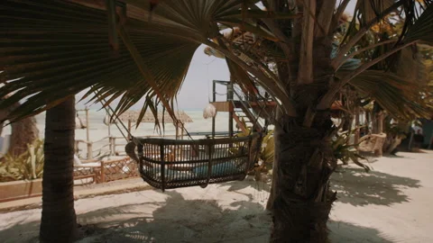 Tree Bench at Zanzibar Stock Footage 308433484