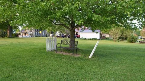 Tree Benches Stock Photos